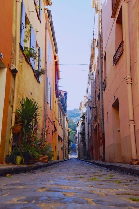 Au Coeur De Ville Avec Terrasse Céret Eksteriør billede