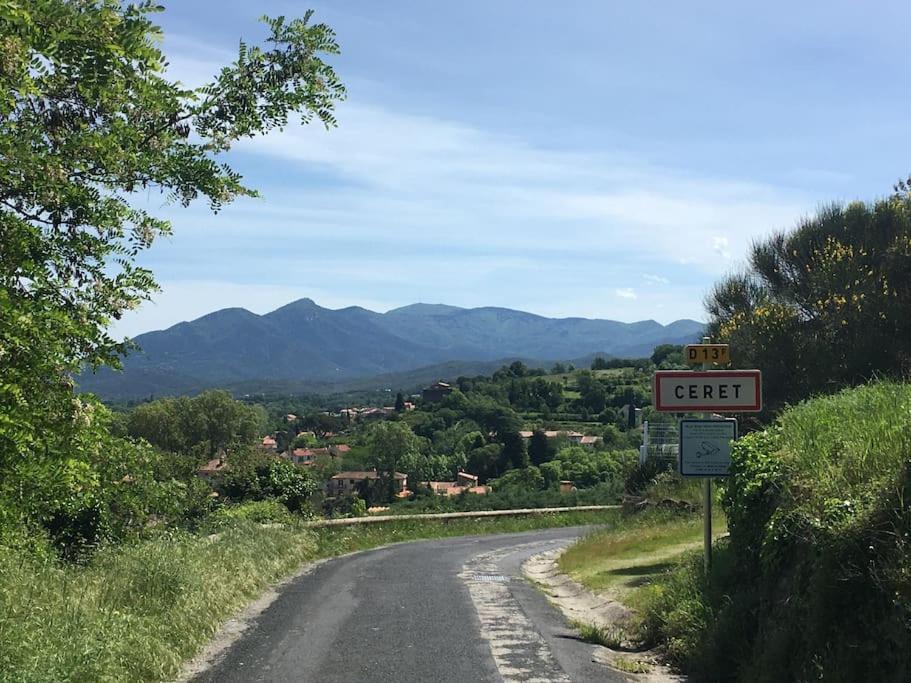 Au Coeur De Ville Avec Terrasse Céret Eksteriør billede