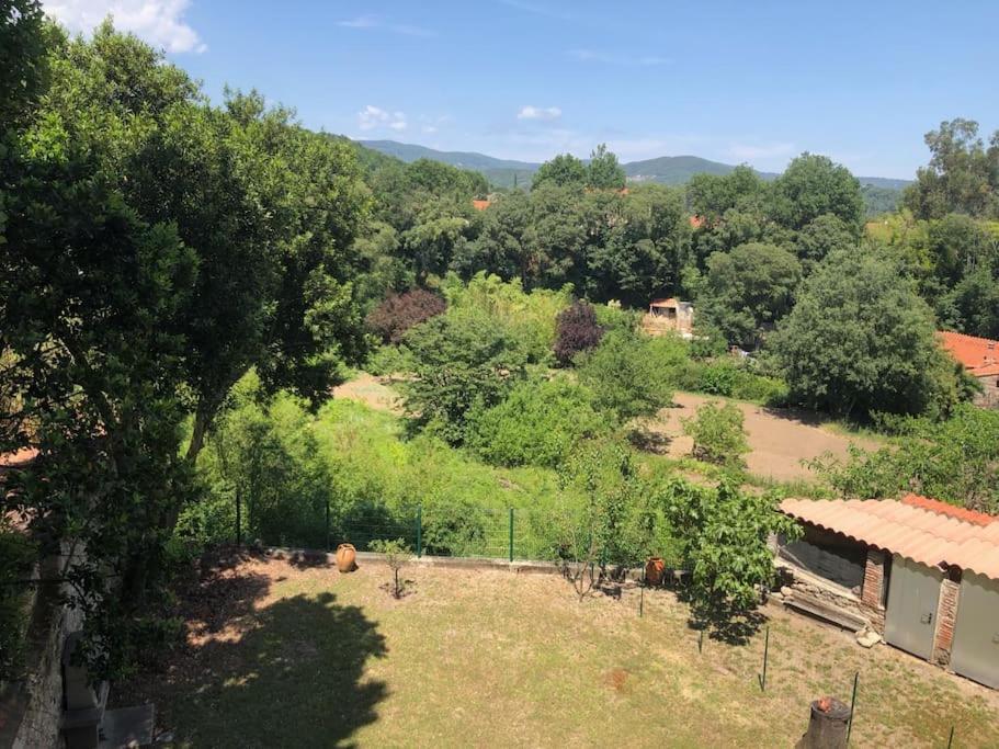 Au Coeur De Ville Avec Terrasse Céret Eksteriør billede